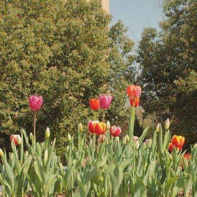 江湖x汉家江湖无限元宝版下载