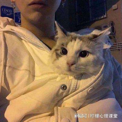 酷酷爱魔兽2手游bt公益服下载
