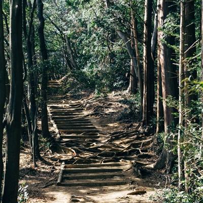 加快推进应急管理法治化进程